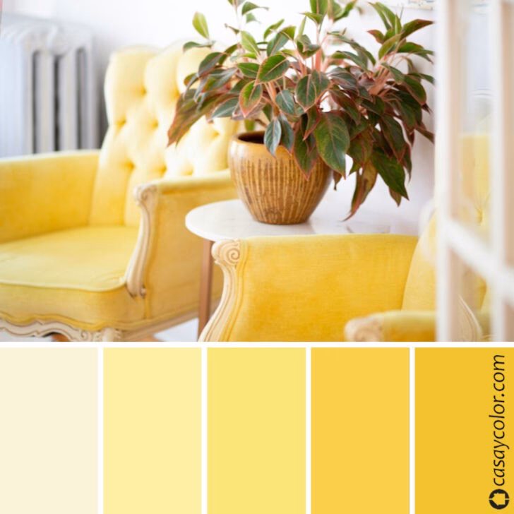 ¿Dónde se puede poner el color amarillo en la casa?