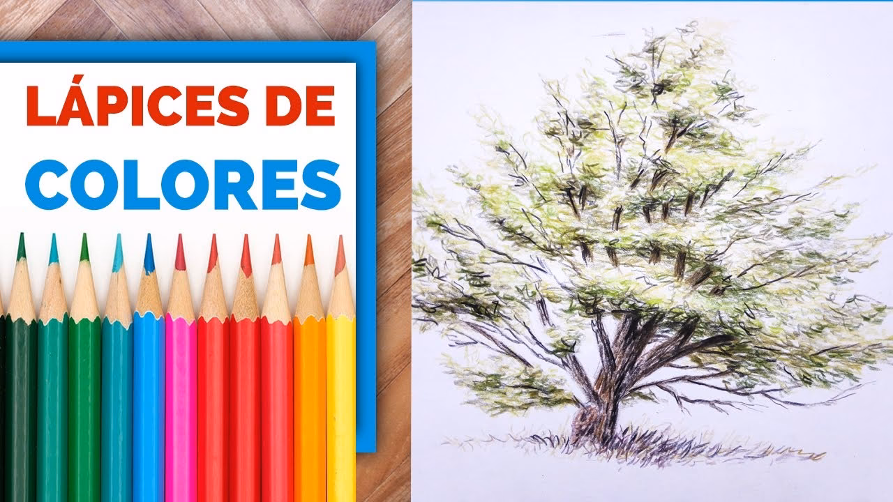 ¿Cuáles son los colores de la madera?