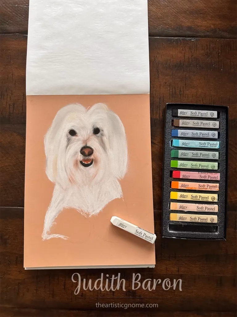 What are the different types of pastel paper?