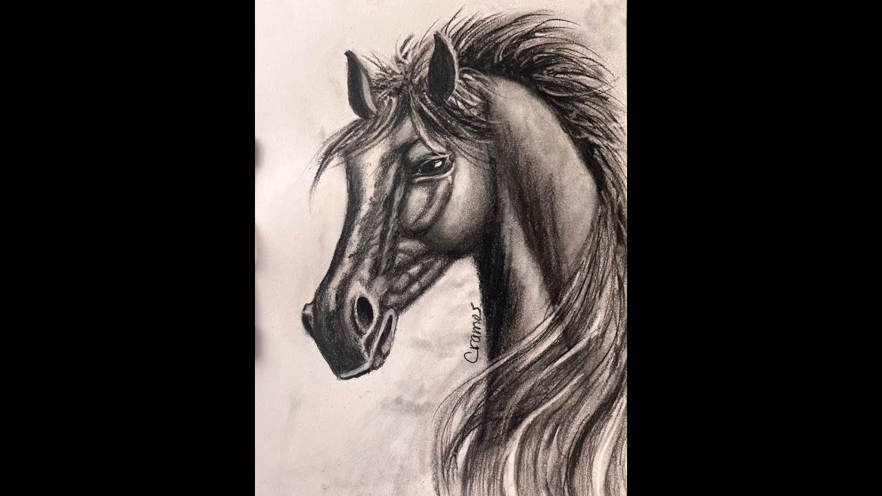 ¿Qué es el caballo pintado?