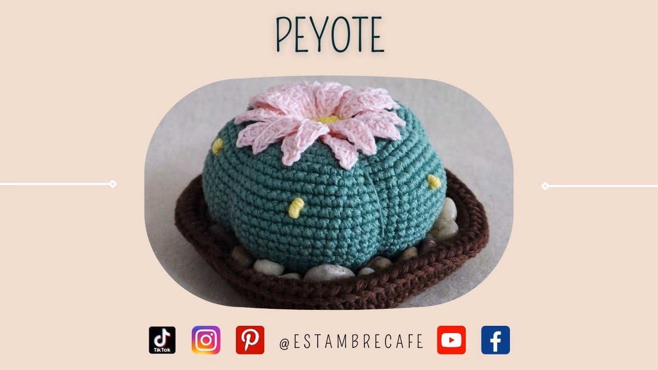 ¿Cómo hacer un amigurumi de cactus?