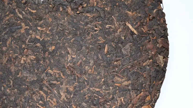 ¿Dónde se encuentra la variedad assamica de Camellia sinensis?