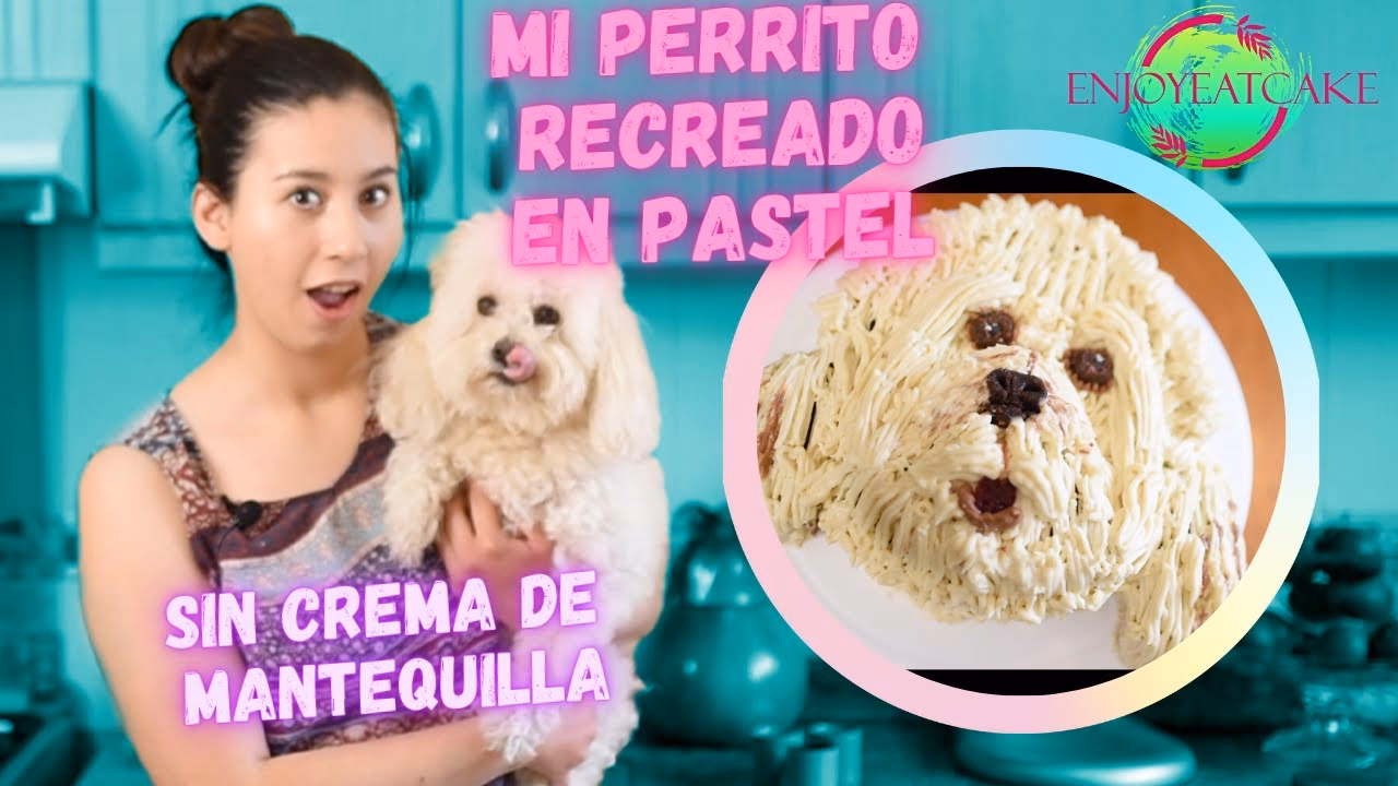 ¿Cómo puedes hacer que tu caniche se sienta cómodo con la correa?
