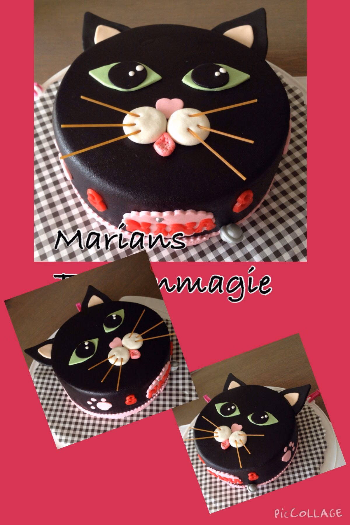 ¿Qué significa el gato negro en la carta de la reina de Bastos?