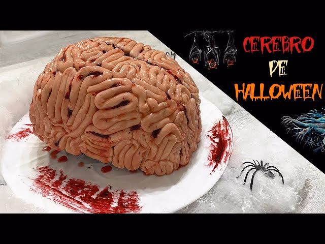 ¿Cómo afecta la sangre a tu cerebro?