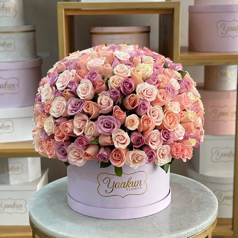 ¿Cuántas partes tiene un pastel circular?