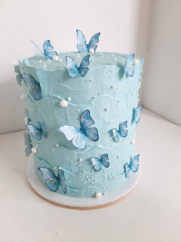 ¿Cómo atrapar a las mariposas?