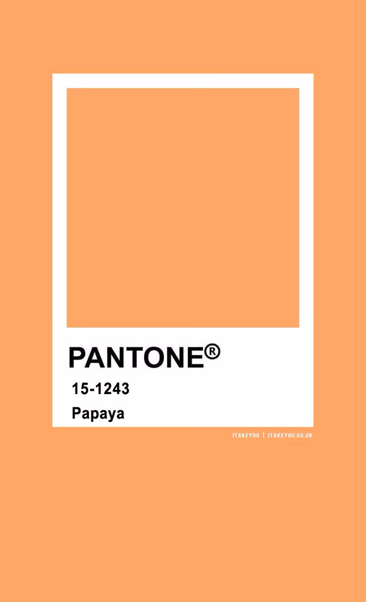 Why is papaya so popular?