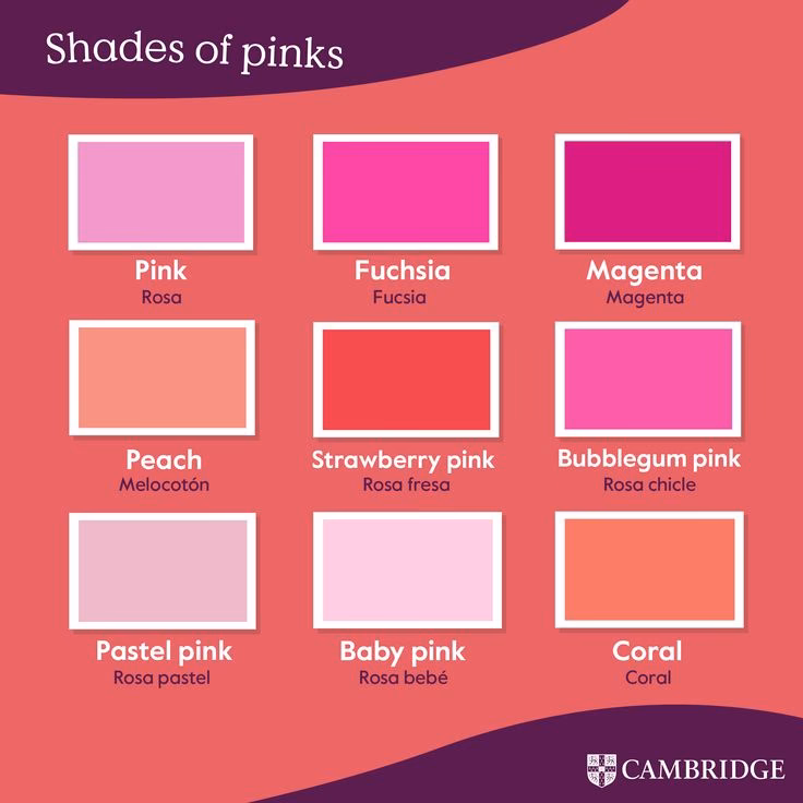 ¿Qué estilos decorativos pueden adaptarse a los colores pastel?