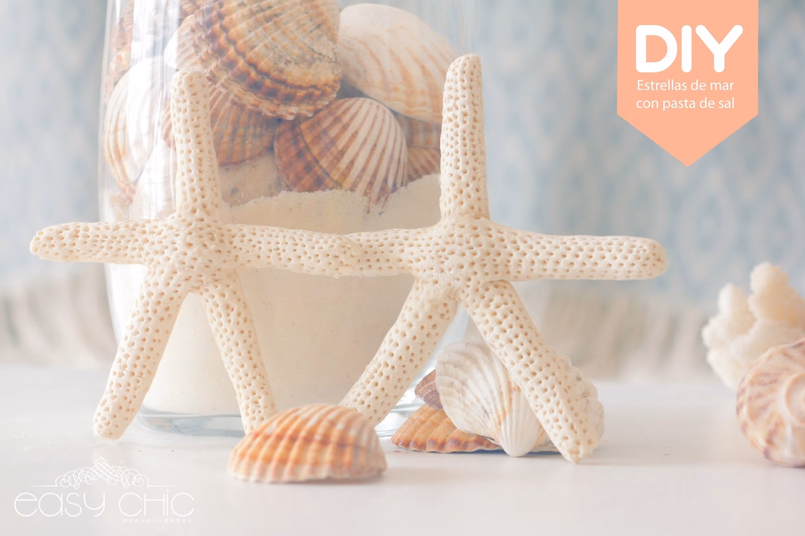 ¿Cómo usar estrellas de mar?