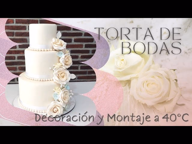 ¿Qué es la guía de porciones de pastel?