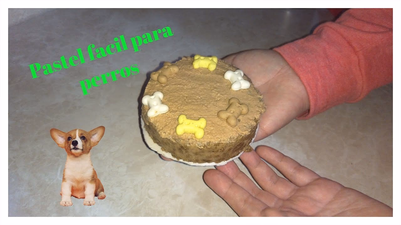 ¿Qué quiere decir como el perro de las dos tortas?