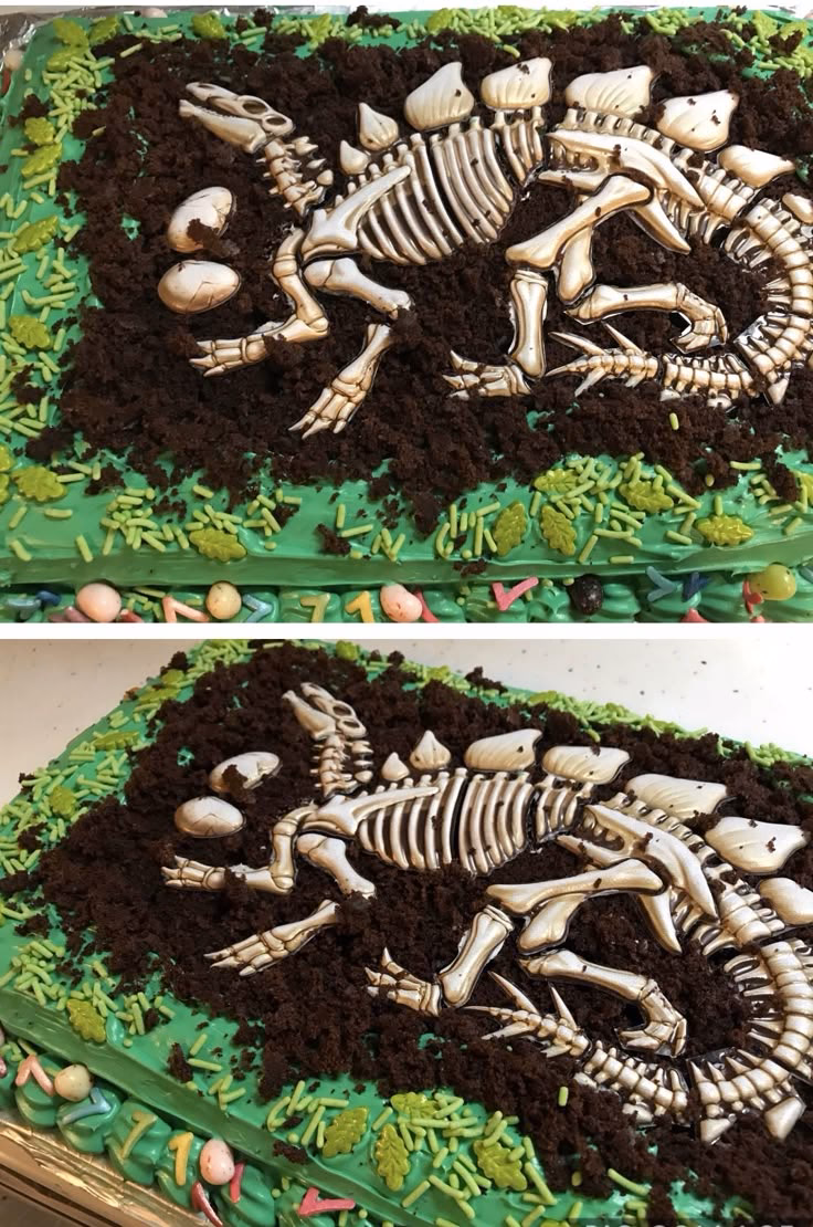 ¿Por qué es importante aprender a hacer fósiles Caseros?