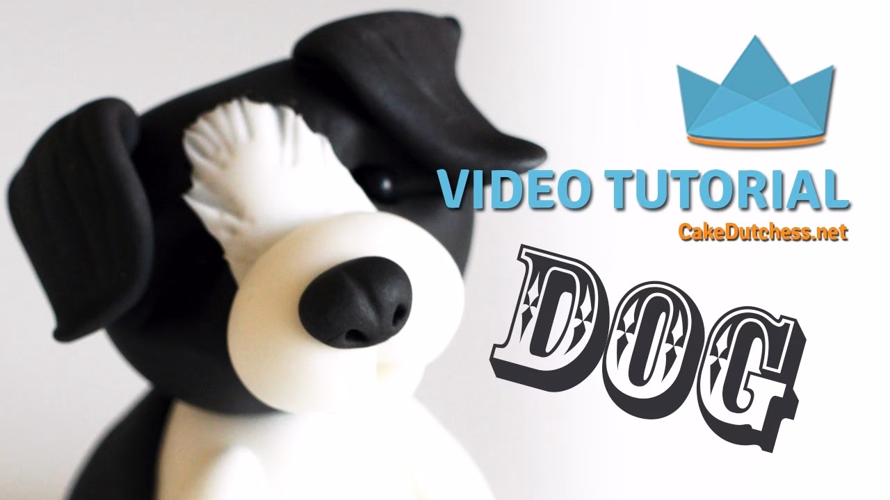 ¿Cuál es el alimento principal de un Border Collie?