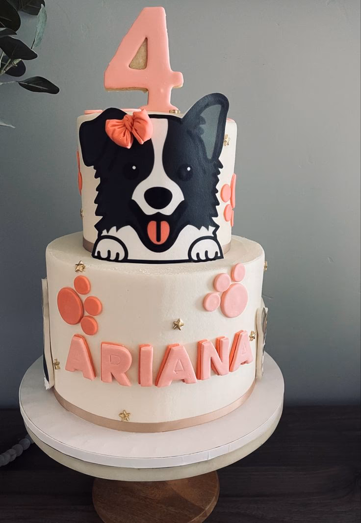 ¿Cómo cuidar a un Border Collie?