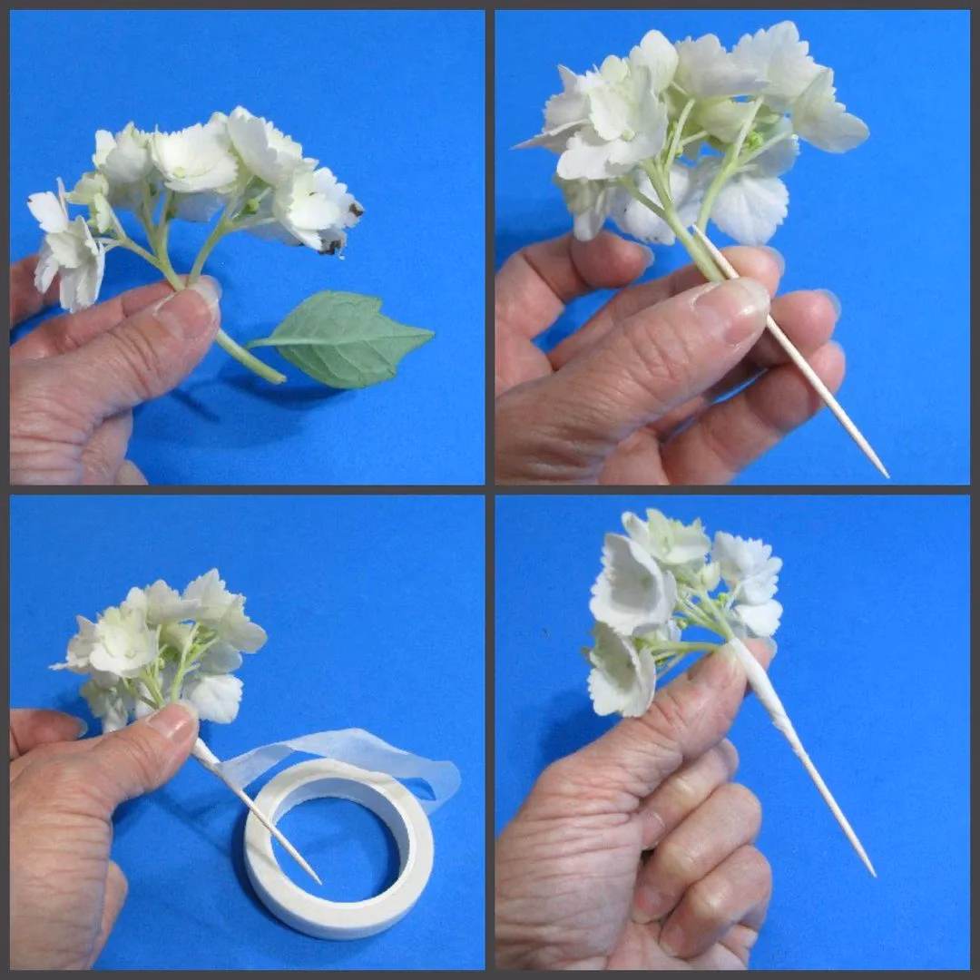 ¿Cómo cuidar un ramo de flores naturales?