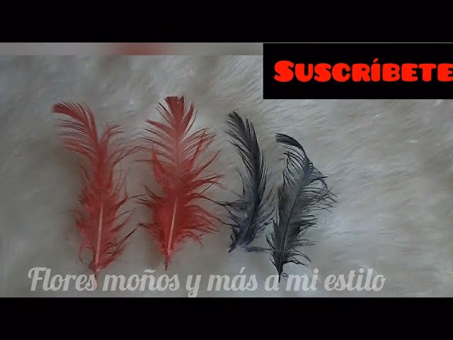 ¿Cómo teñir plumas con bebidas en polvo?