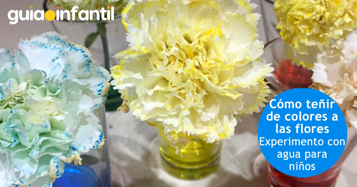 ¿Cómo teñir flores naturales?