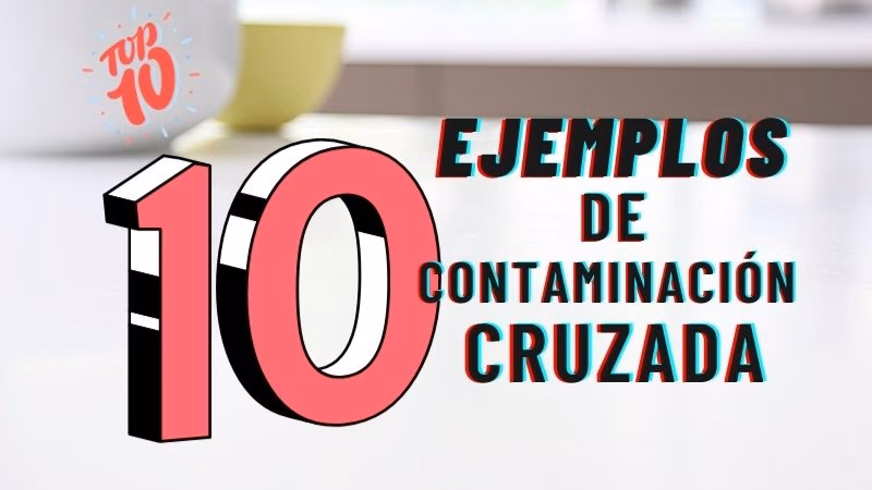 ¿Cómo se debe almacenar los alimentos para evitar la contaminación cruzada?