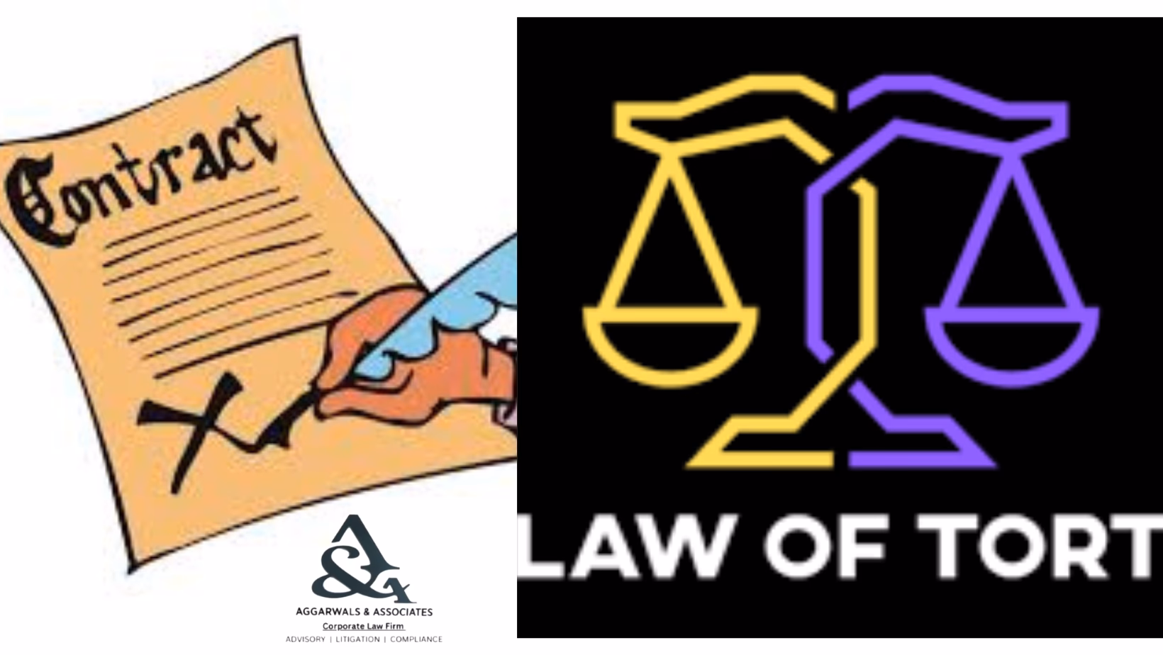 What is the difference between tort law and tort law?