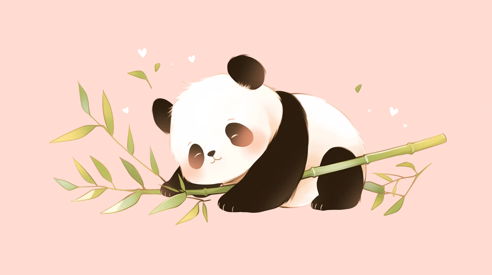 ¿Cuáles son las características de la decoración de Panda?