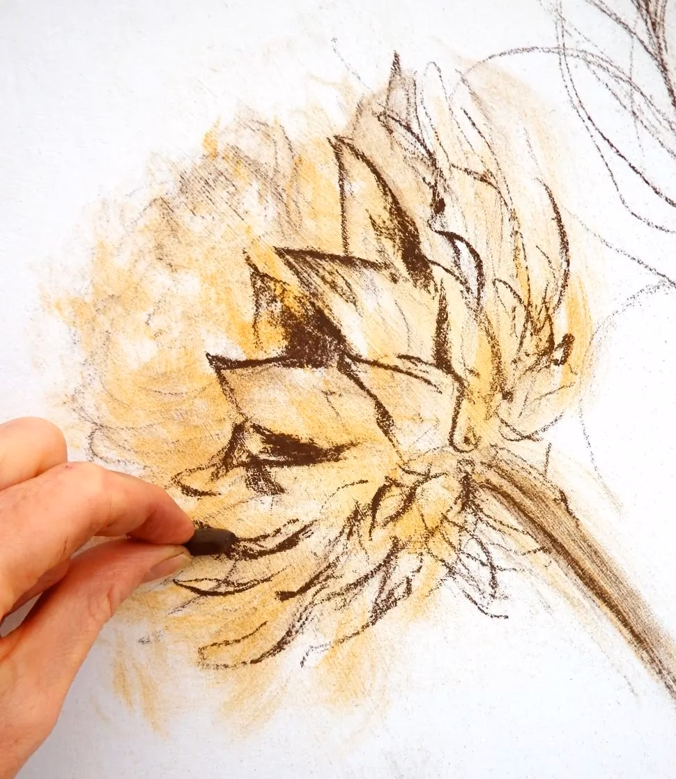 ¿Qué es un retrato a carboncillo?