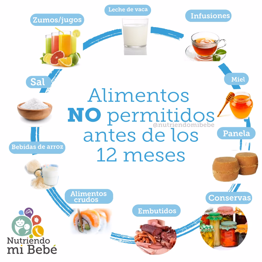 ¿Cómo alimentar a un bebé recién nacido?