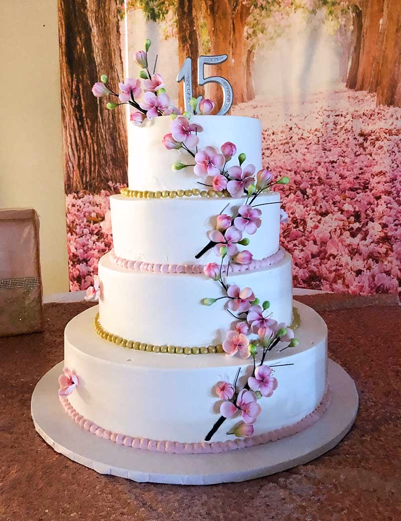 ¿Cuáles son las mejores tortas de 15 años?