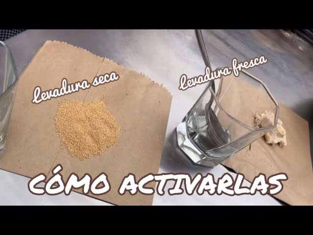 ¿Cómo saber si la levadura está buena?