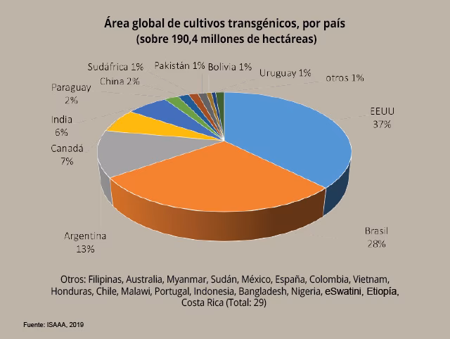 ¿Cuáles son los principales países productores de cultivos transgénicos?