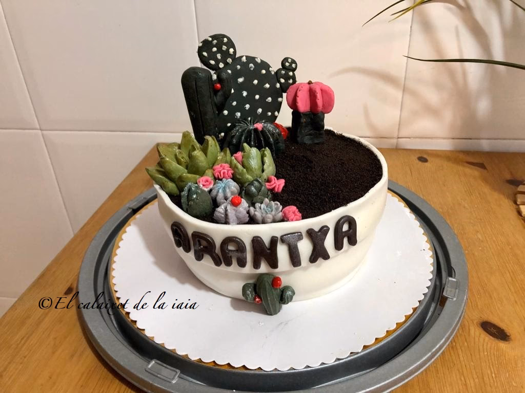 ¿Qué puedo regalar a un cactus de cumpleaños?