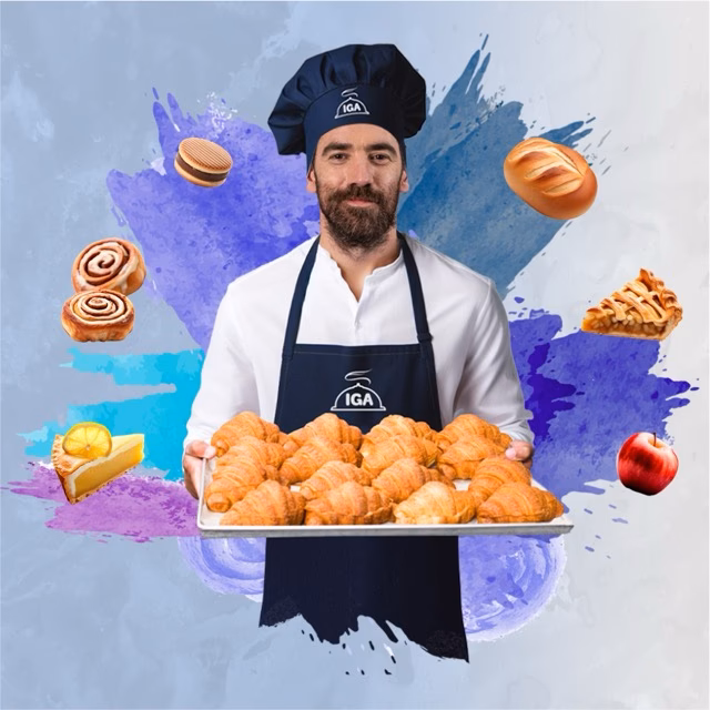 ¿Qué contienen los cursos de Iga?