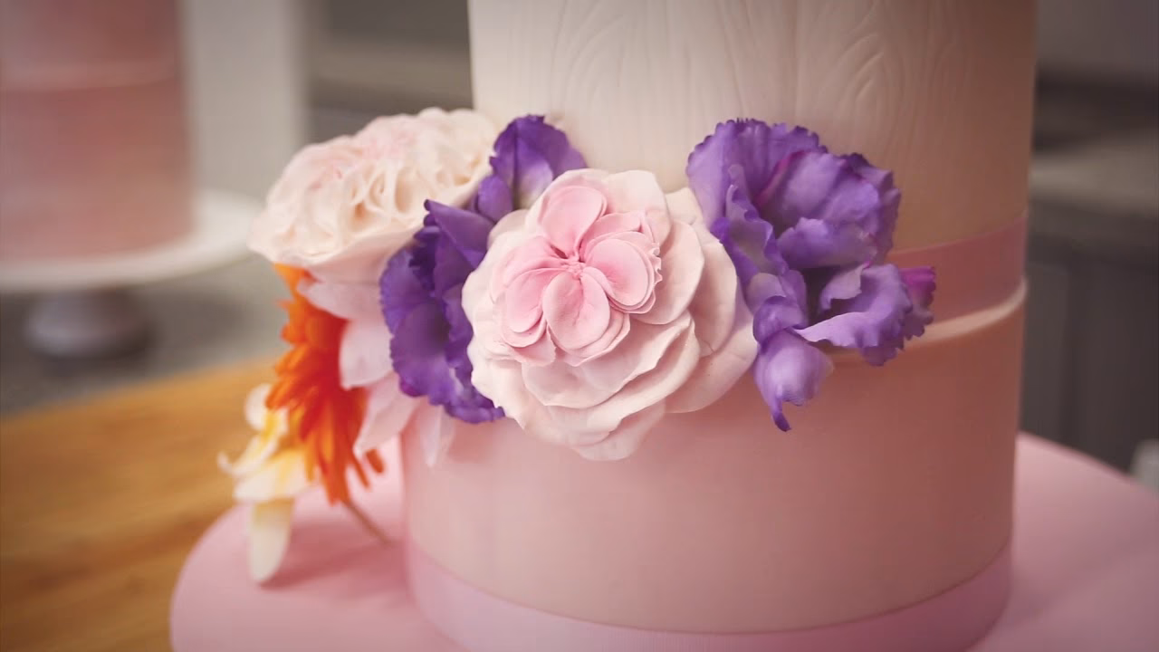 ¿Qué es el programa de decoración de tortas?