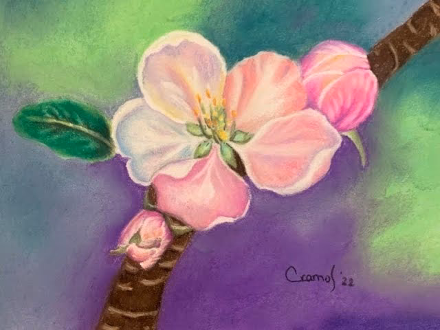 ¿Cómo hacer dibujos a lápiz?