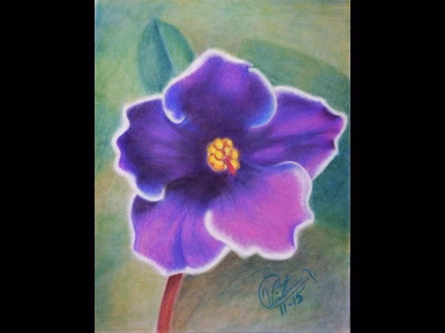 ¿Cómo dibujar flores con lápiz?