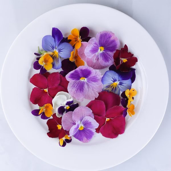 ¿Cómo mantener las flores frescas en los pasteles?