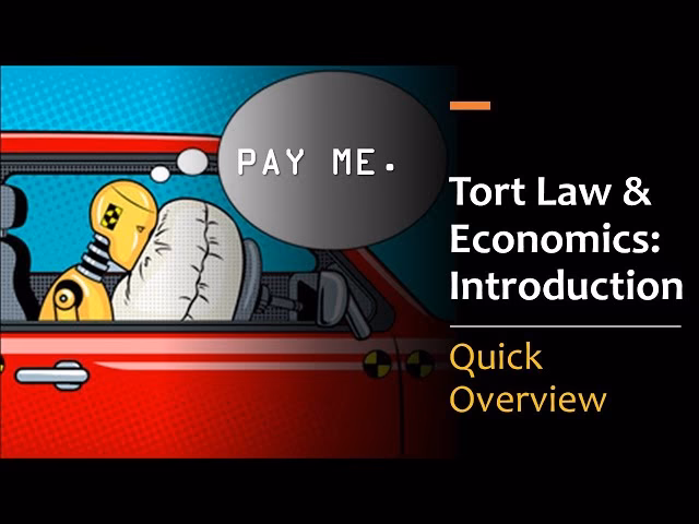 Should tort law minimize accident costs?