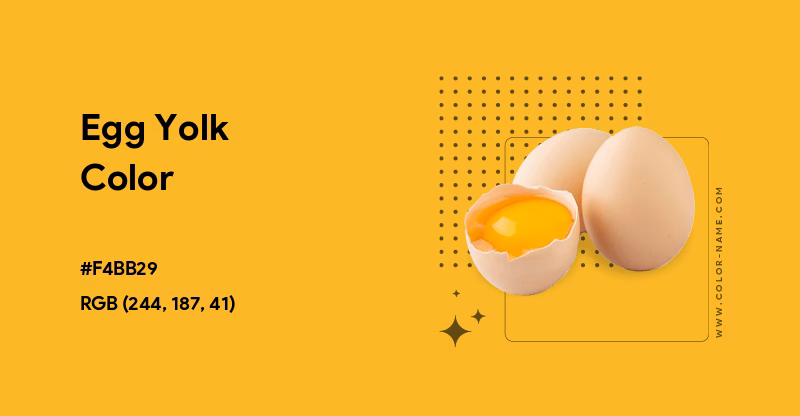 What color is eggshell & yellow yolk?