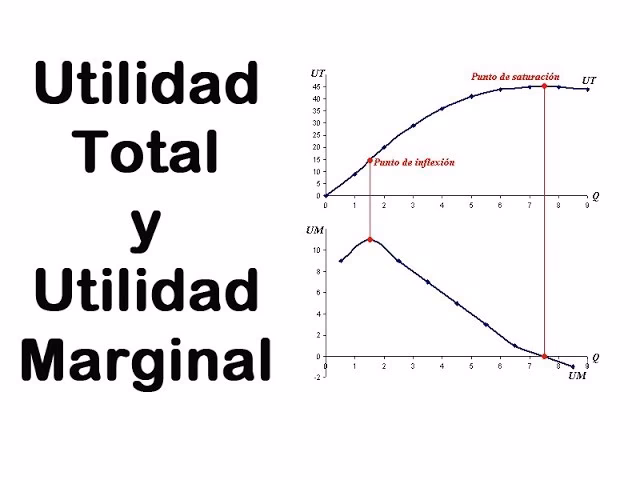 ¿Qué es la utilidad marginal negativa?