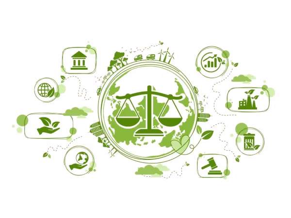 What are the emerging areas of environmental tort law?