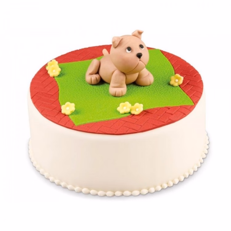 ¿Cómo hacer pasta de textura casera?