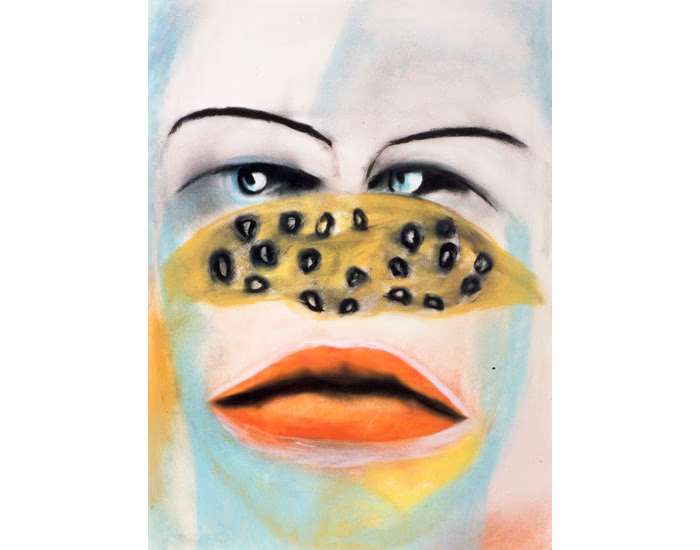 ¿Qué es el pastel de chocolate de estilo francés?