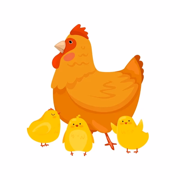 ¿Cómo cuidar los pollitos sin una gallina?