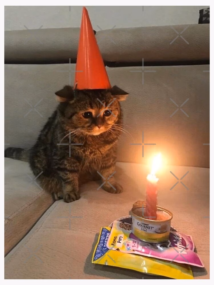 ¿Cómo se dice Estoy triste por la muerte de mi gato?