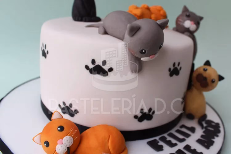 ¿Qué es el pasto gatuno y para qué sirve?