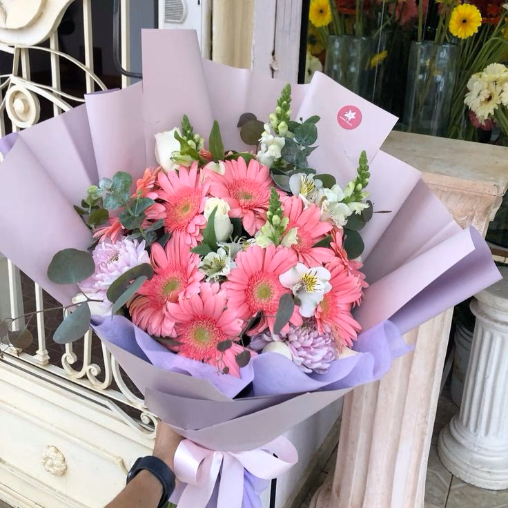 ¿Cómo cuidar las gerberas?