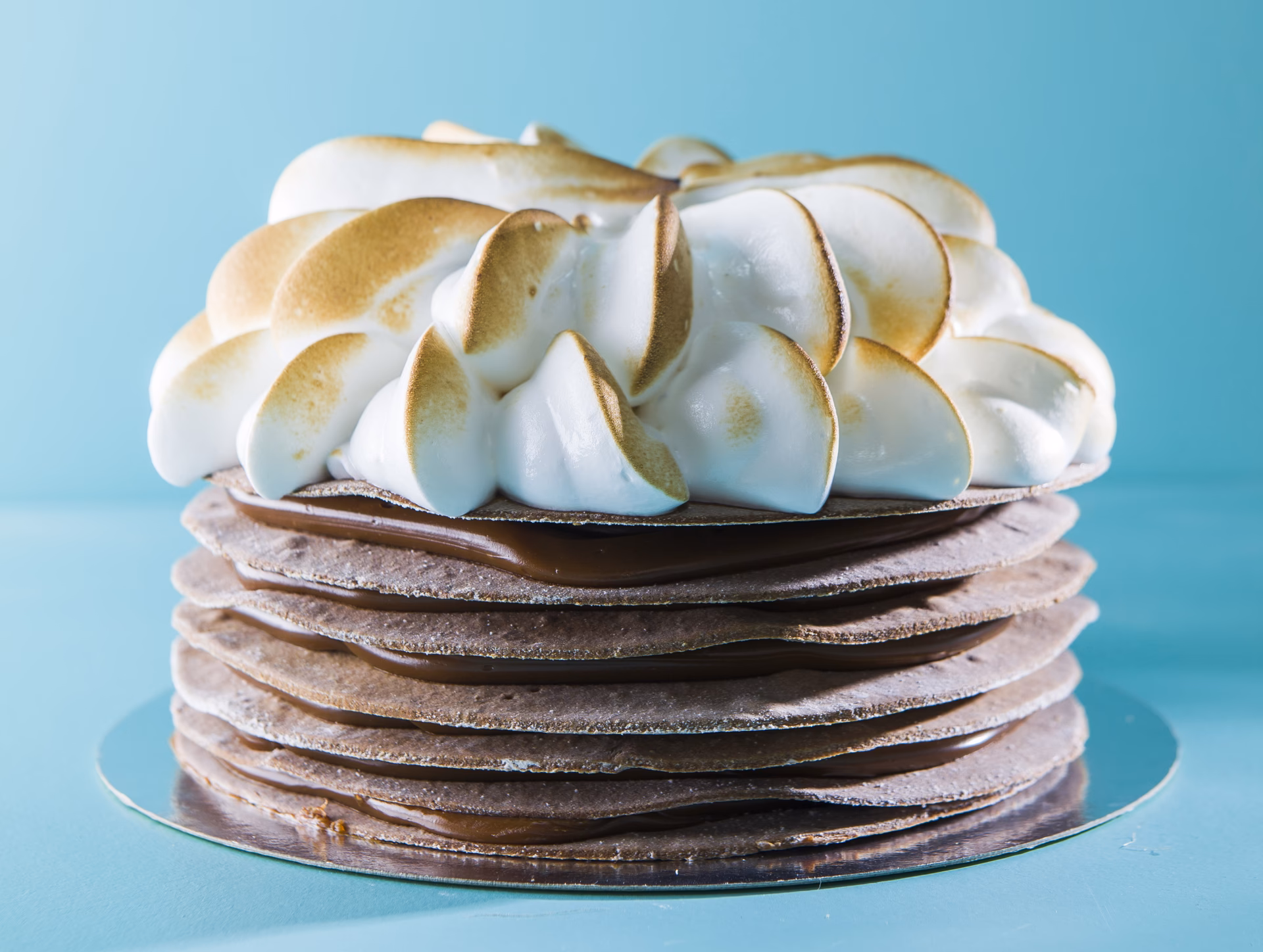 ¿Qué es Gout y para qué sirve?