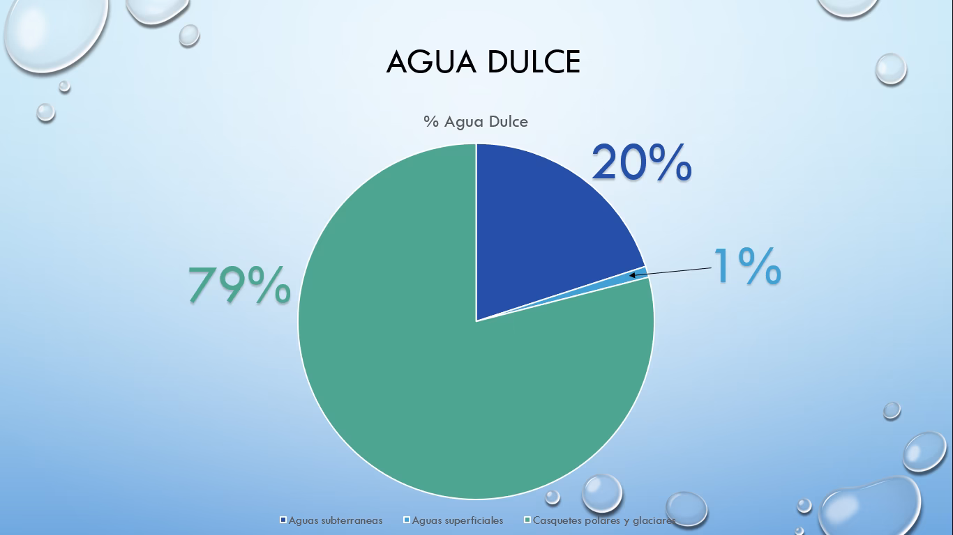 ¿Cuál es el origen de las tortas de agua?