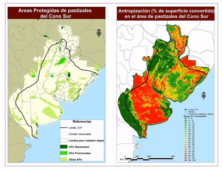 ¿Cuáles son las características de la vegetación de pastizal?