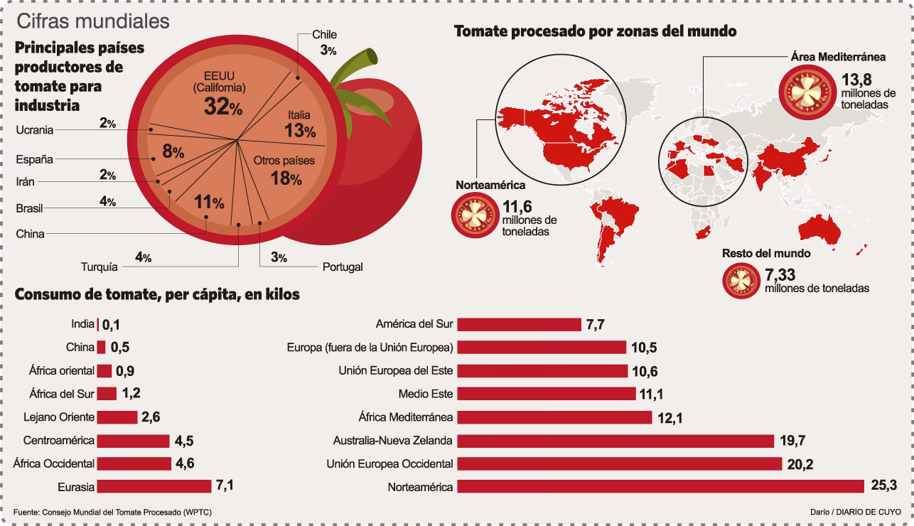 ¿Cuál es la evolución del cultivo de tomate en Argentina?